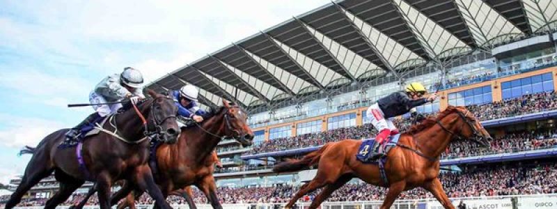 royal-ascot-racecourse-chauffeur